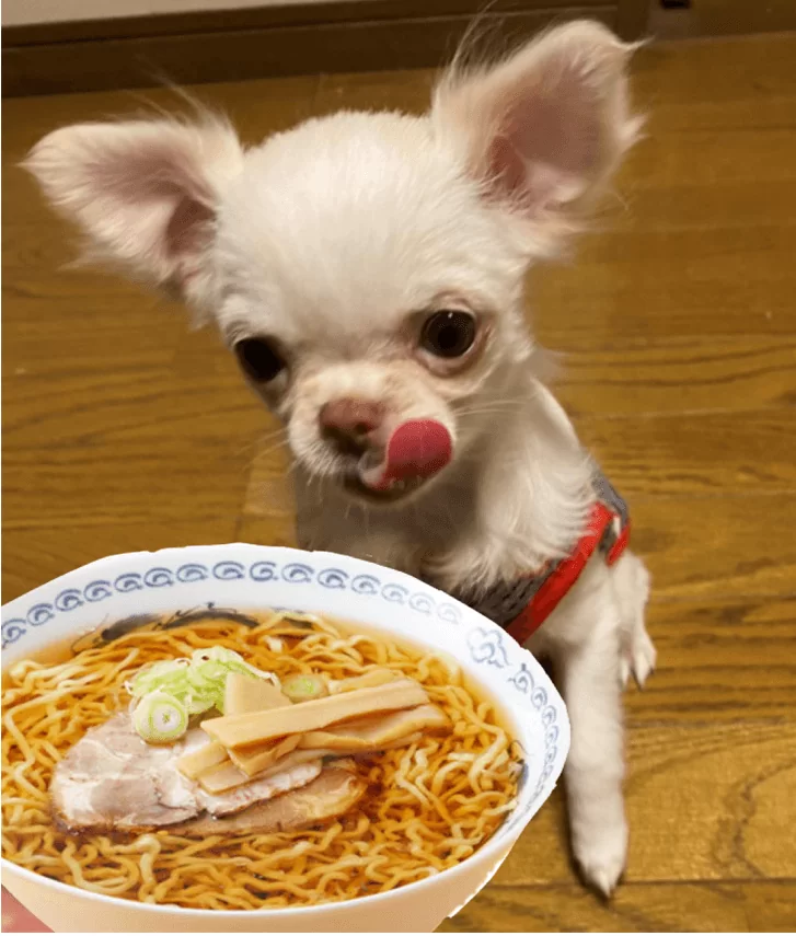 ワンコそば 人と犬が一緒に食べられる麺